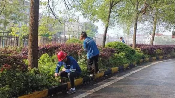 匯源煤氣員工勞動節除草忙 匯源煤氣員工勞動節除草忙